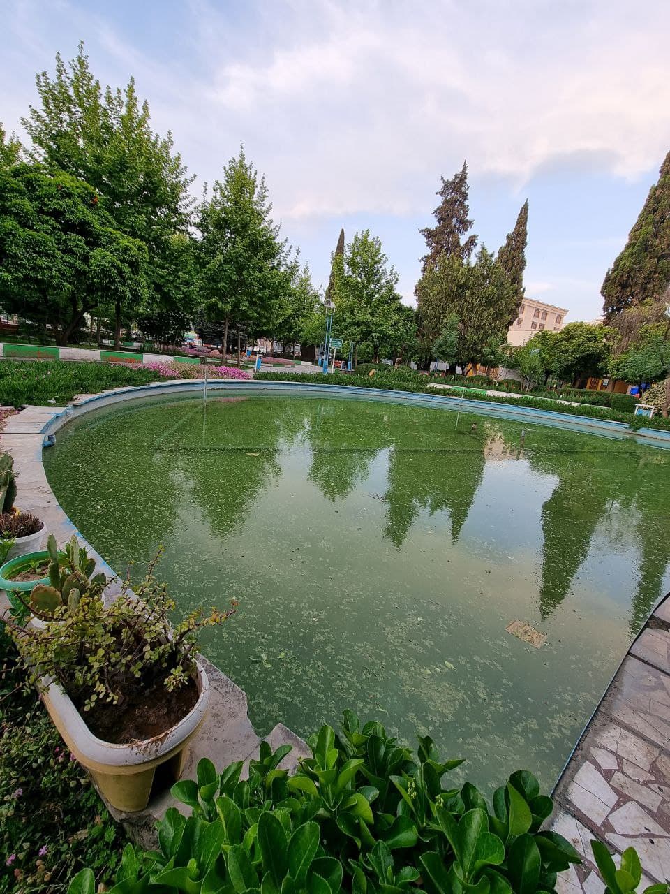 کار درمانگر - دلارام موسوی ساری