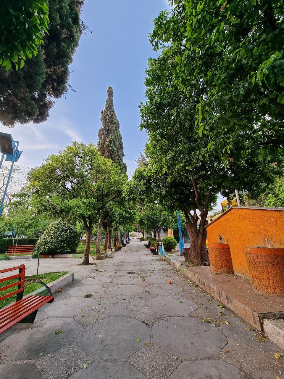 کاردرمانگر عاشق کارش سیده دلارام موسوی