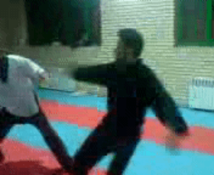 چهارسوی ورزشهای رزمی(حامدرحیمی پنجکی)