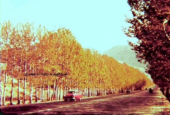 خیابان ولیعصر