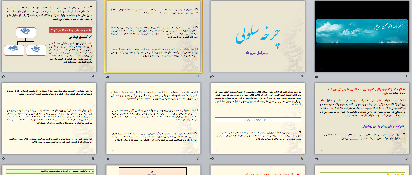 پاورپوینت چرخه سلولی و مراحل مربوطه
