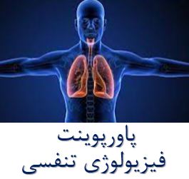 پاورپوینت فیزیولوژی تنفسی