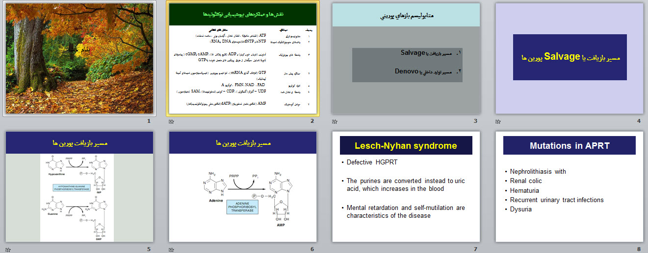 پاورپوینت نقش ها و عملکردهای بیوشیمیایی نوکلئوتیدها
