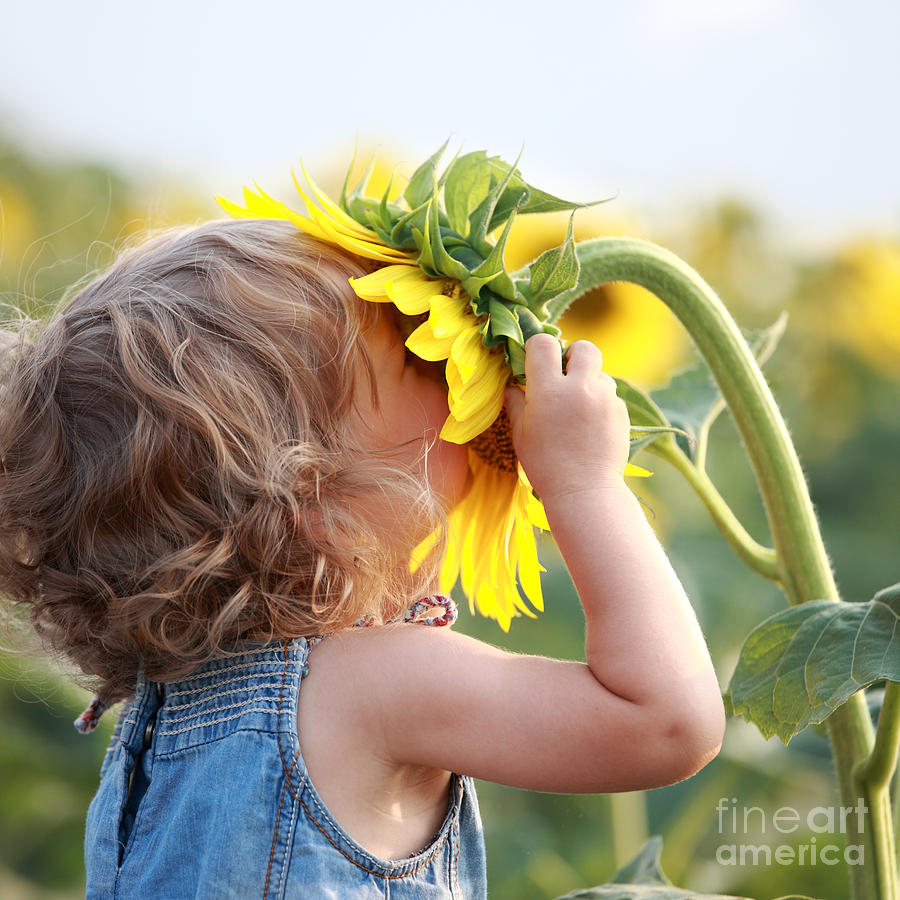 [تصویر:  cute_child_with_sunflower_in_summer_sunny_studio.jpg]