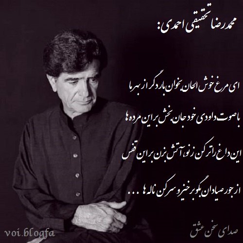 محمدرضا تحقیقی احمدی