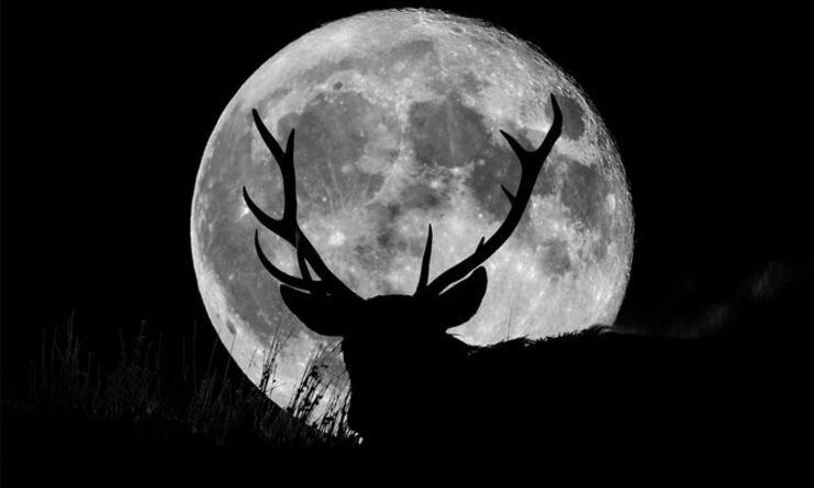 ظهور ماه گوزن در آسمان Deer Moon