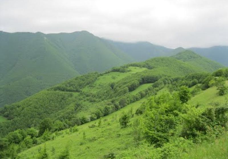 نمایندگی سامسونگ در اهر