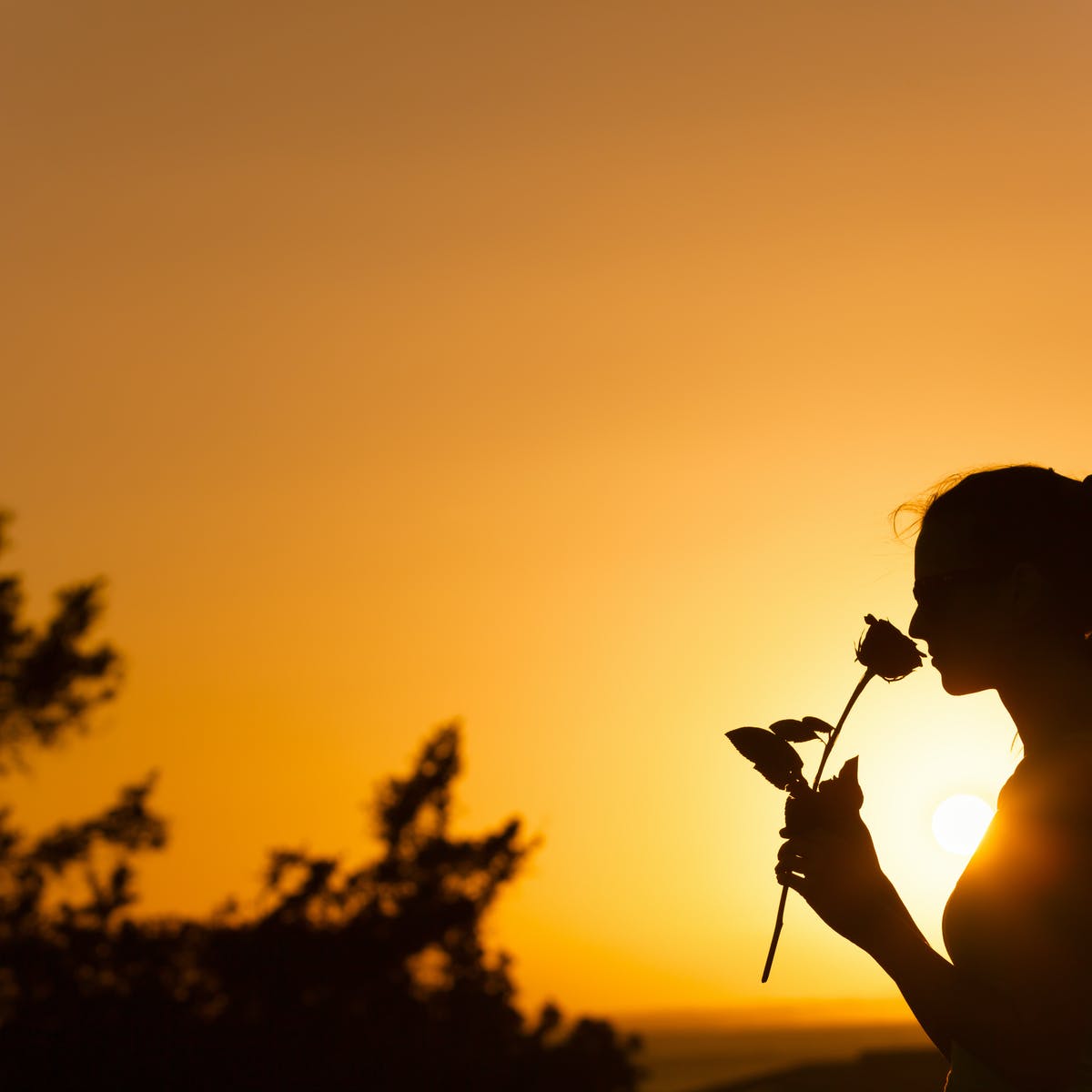 افکارما، تعیین کننده ی سلامتی ماست...