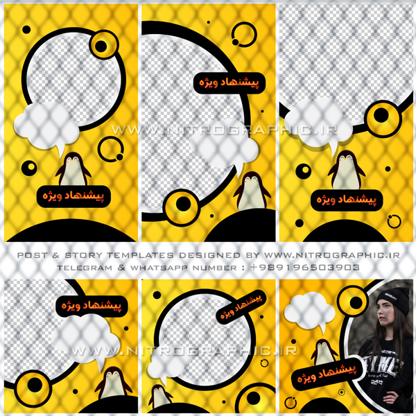 عکس حیوانات بامزه طرحهای کیوت طرح های جالب پنگوئن پیشنهاد ویژه فروشگاه آنلاین